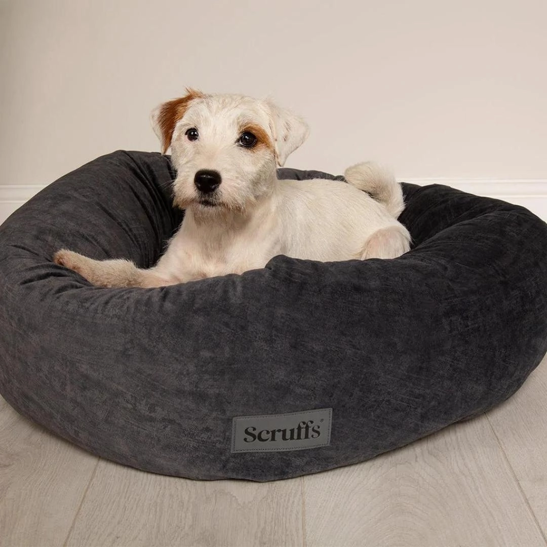 Oslo Ring Donut Dog Bed - Stone Grey
