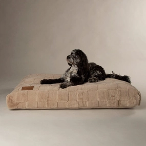 Oxford Orthopaedic Memory Foam Dog Mattress - Camel