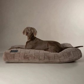 Oxford Orthopaedic Memory Foam Dog Mattress - Silver