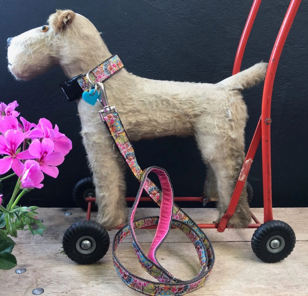 Paisley Park Designer Dog Collar
