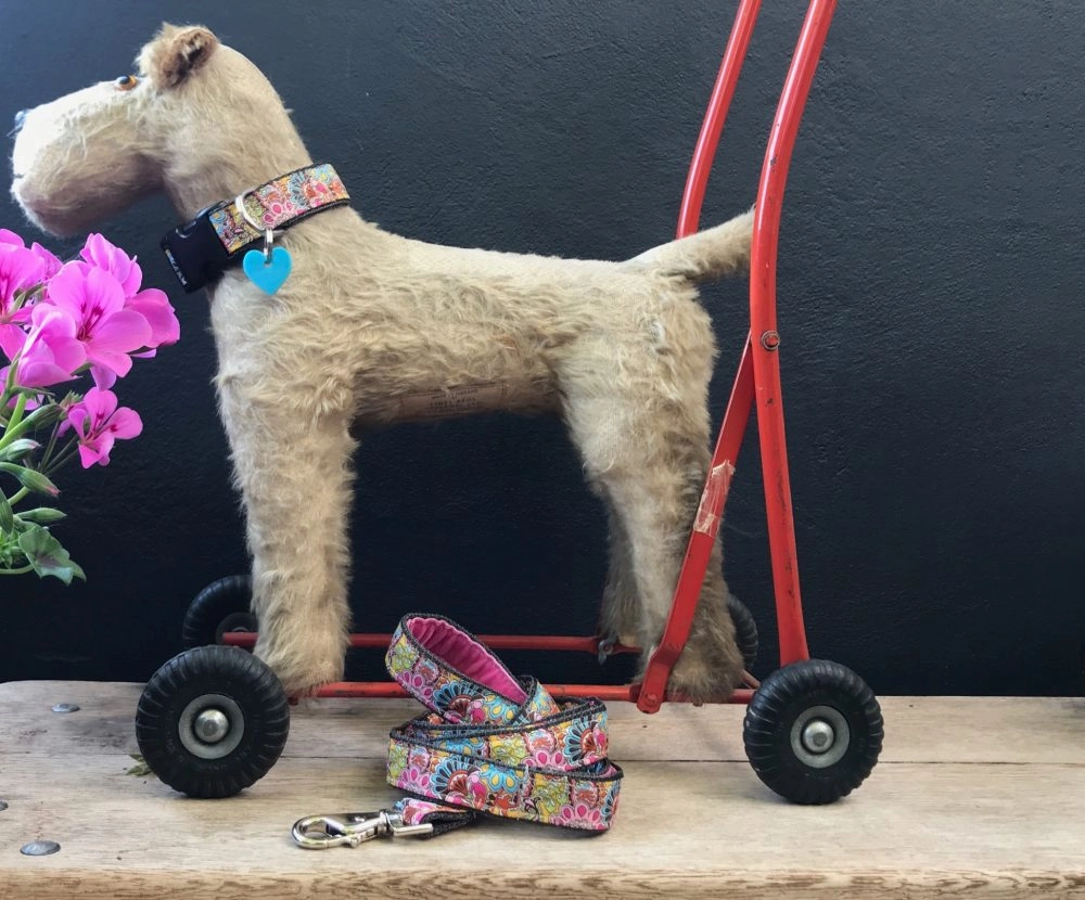 Paisley Park Designer Dog Collar