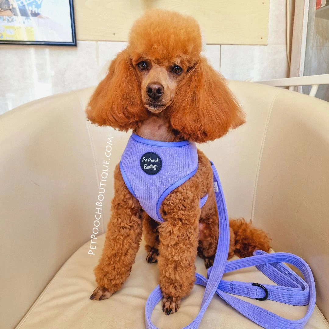 Pastel Purple Cord Dog Harness
