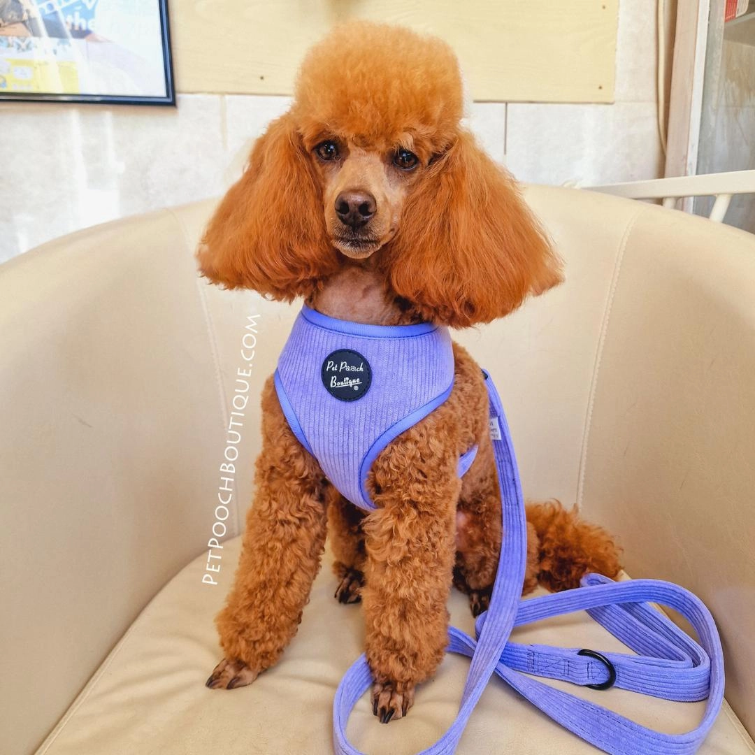 Pastel Purple Cord Dog Harness