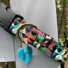 Peloton Dog Collar with Velvet Lining
