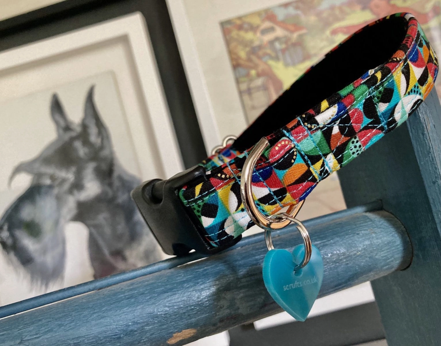 Peloton Dog Collar with Velvet Lining