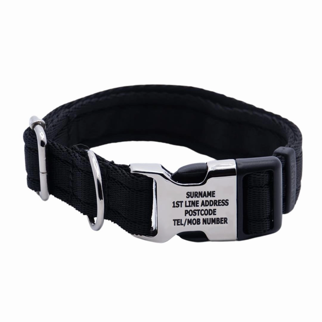 Personalised Activity Dog Collar Lite Black