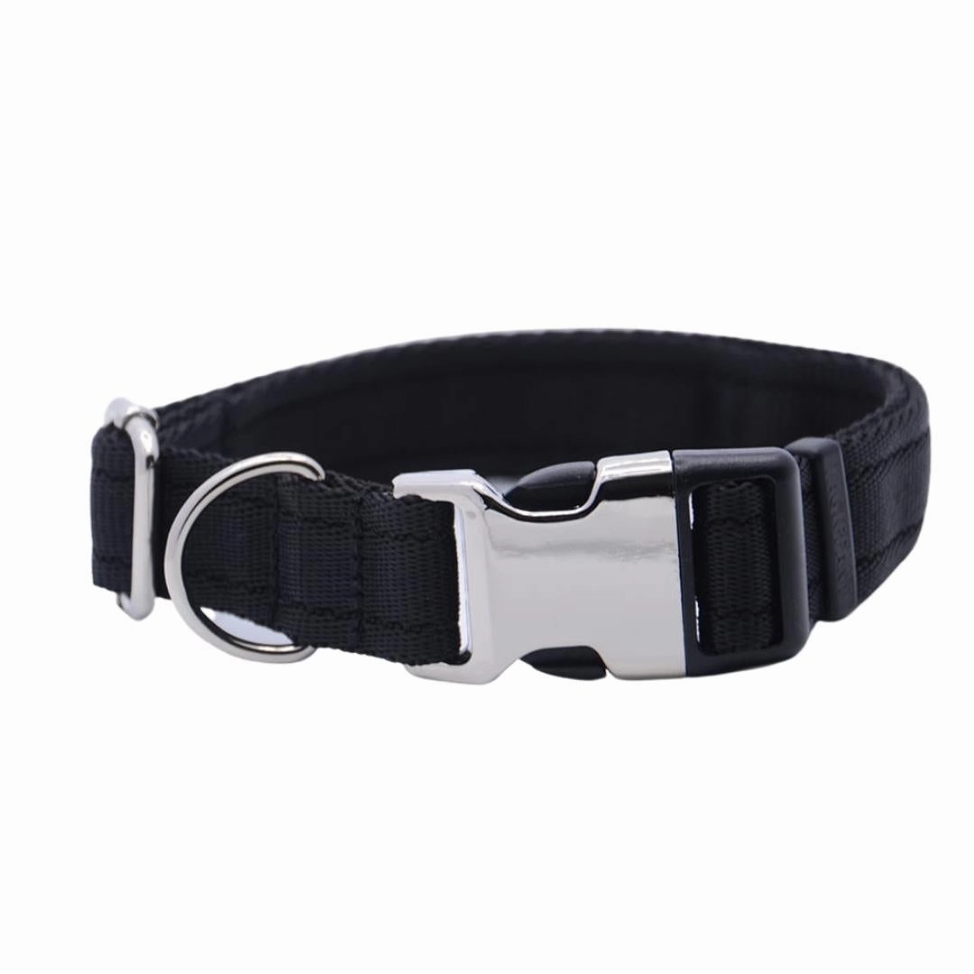 Personalised Activity Dog Collar Lite Black