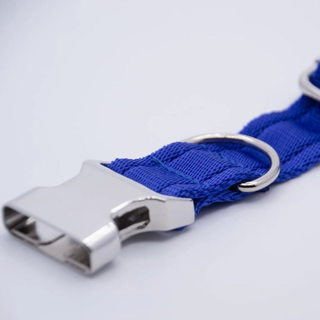 Personalised Activity Dog Collar Lite Blue