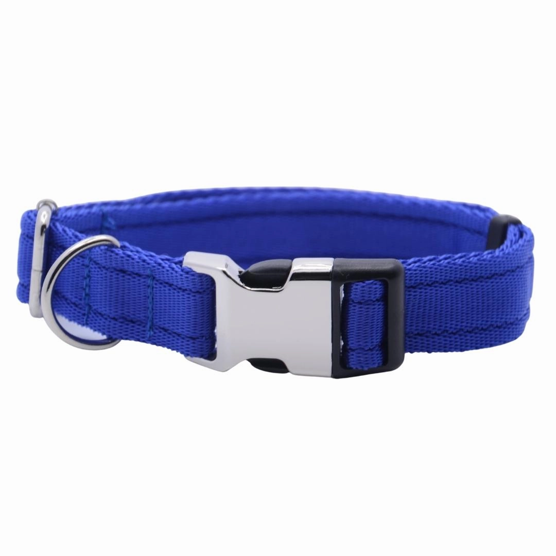 Personalised Activity Dog Collar Lite Blue