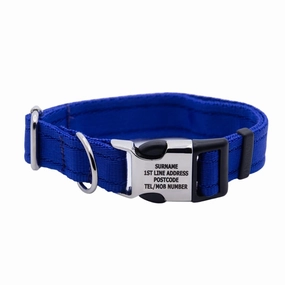 Personalised Activity Dog Collar Lite Blue