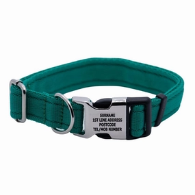Personalised Activity Dog Collar Lite Green