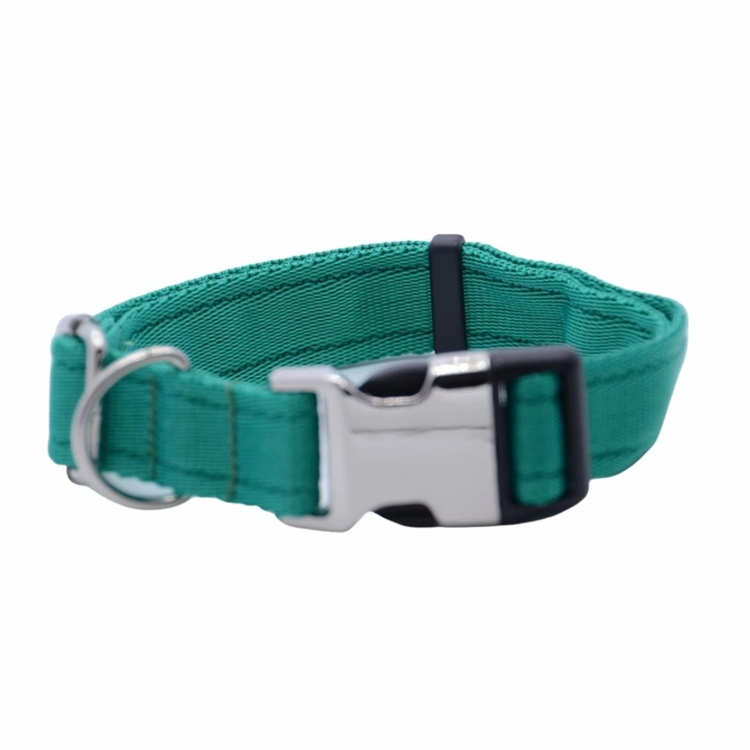 Personalised Activity Dog Collar Lite Green