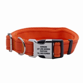 Personalised Activity Dog Collar Lite Orange