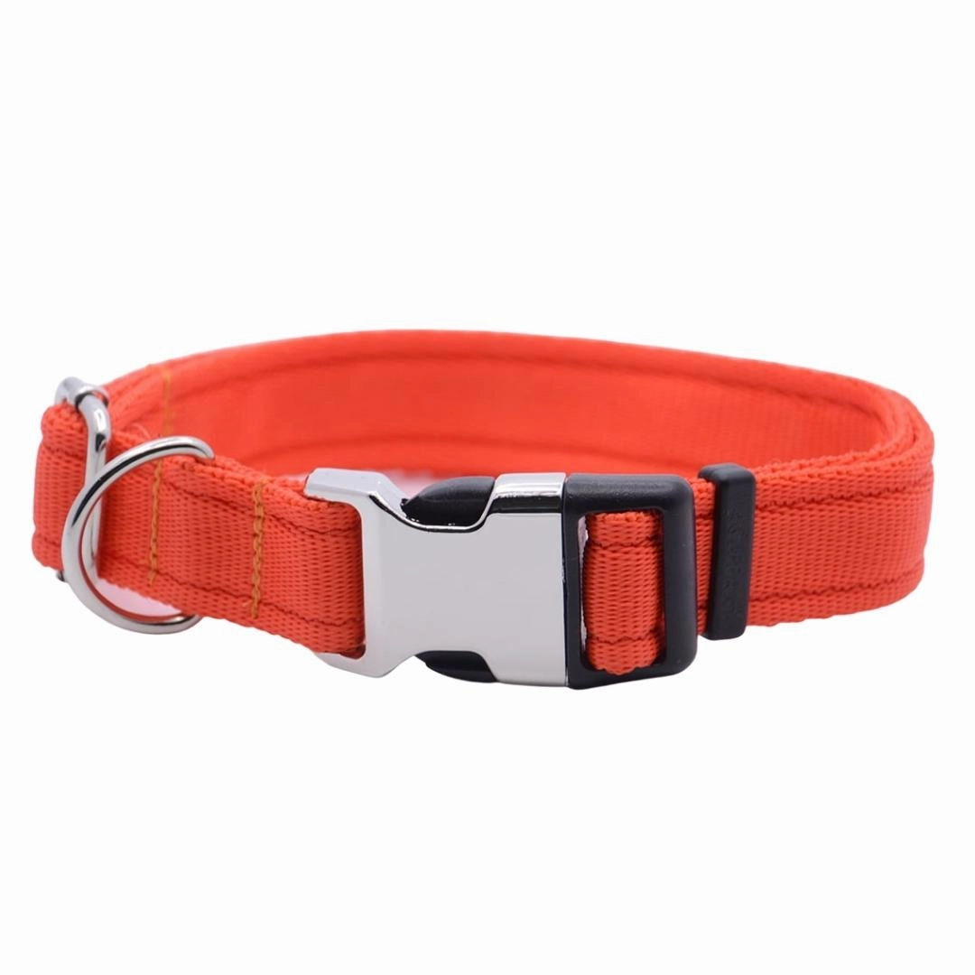 Personalised Activity Dog Collar Lite Orange