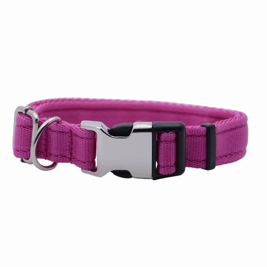 Personalised Activity Dog Collar Lite Pink