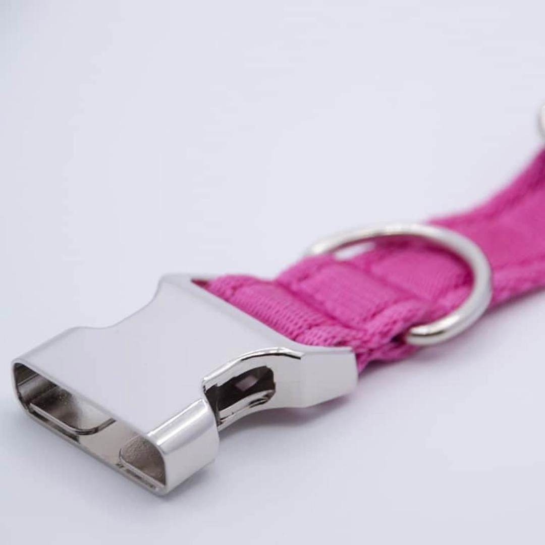 Personalised Activity Dog Collar Lite Pink