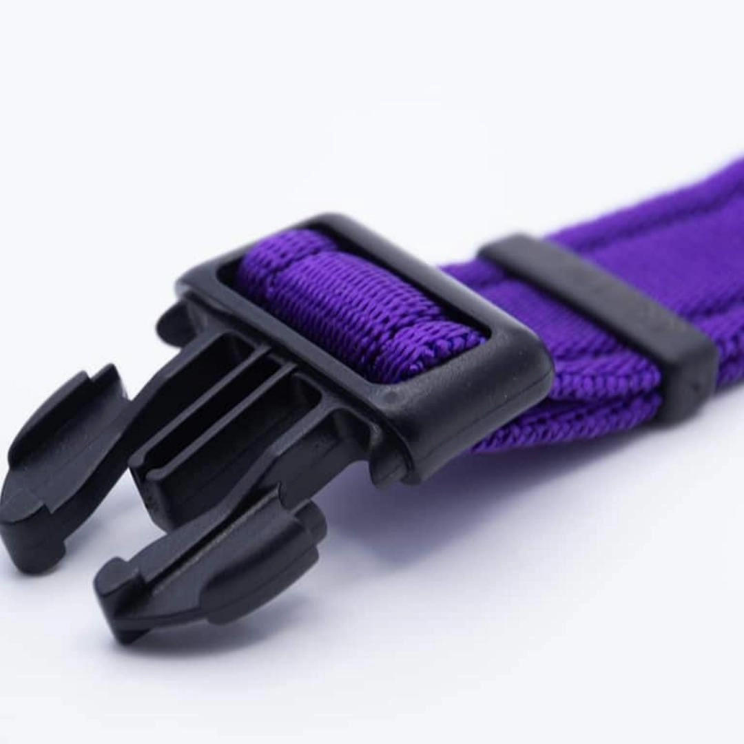Personalised Activity Dog Collar Lite Purple