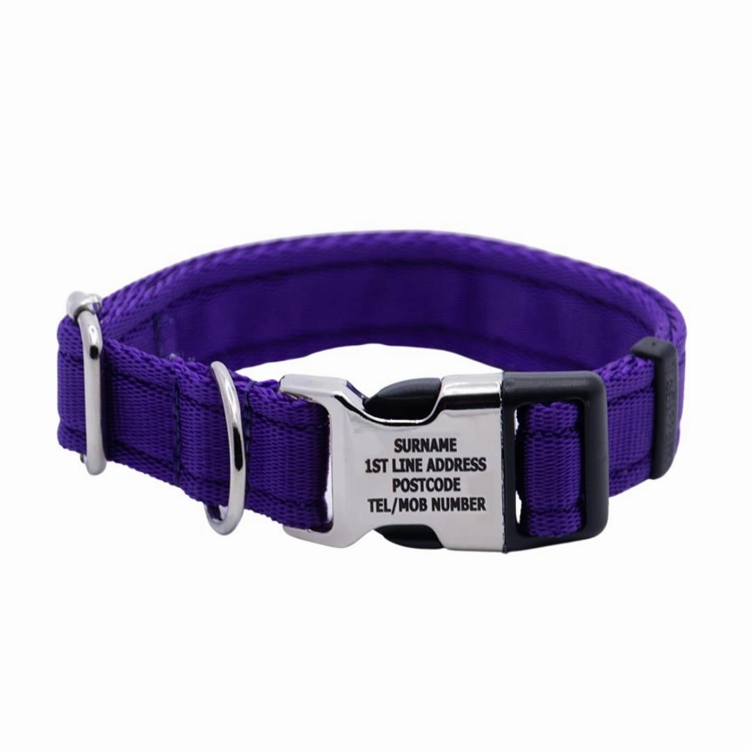 Personalised Activity Dog Collar Lite Purple