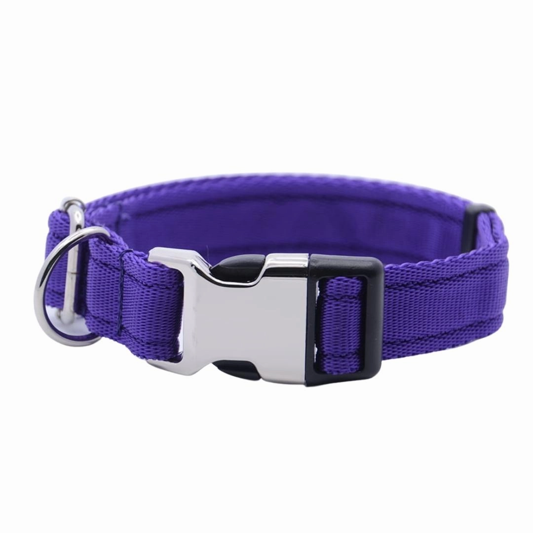 Personalised Activity Dog Collar Lite Purple