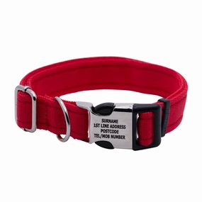 Personalised Activity Dog Collar Lite Red