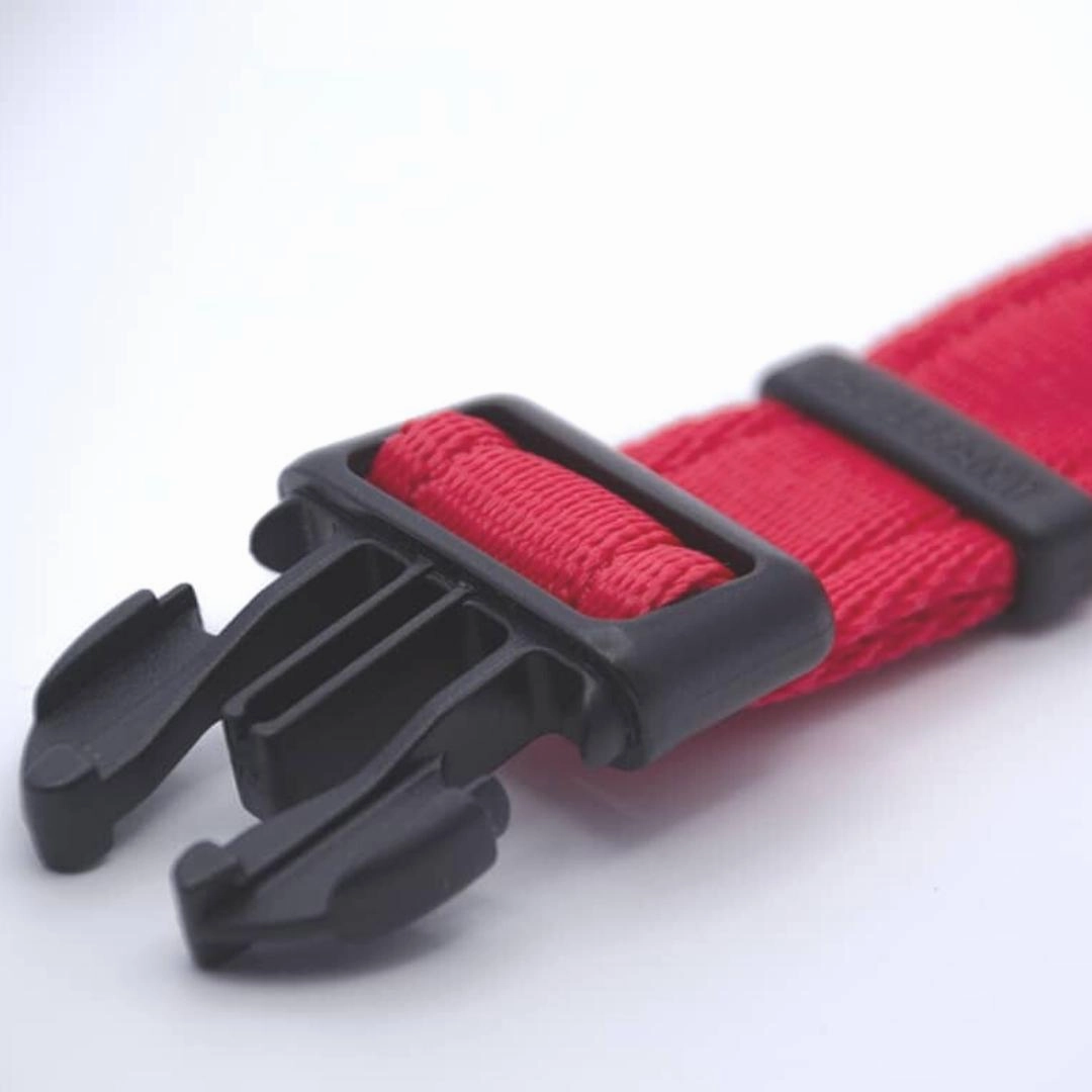 Personalised Activity Dog Collar Lite Red