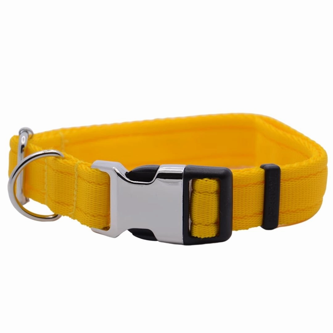 Personalised Activity Dog Collar Lite Yellow