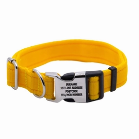 Personalised Activity Dog Collar Lite Yellow