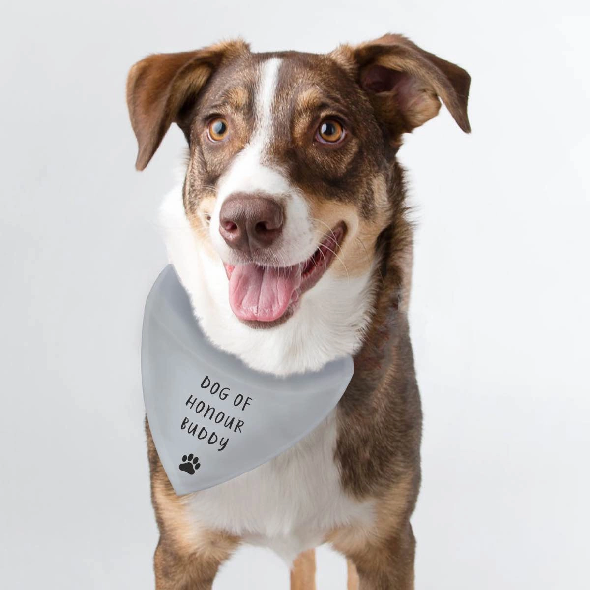Personalised Any Text Grey Dog Bandana