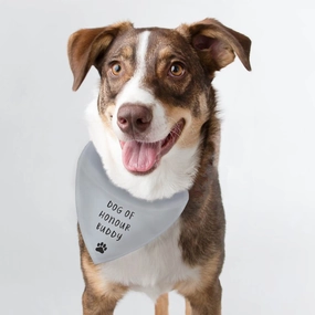 Personalised Any Text Grey Dog Bandana