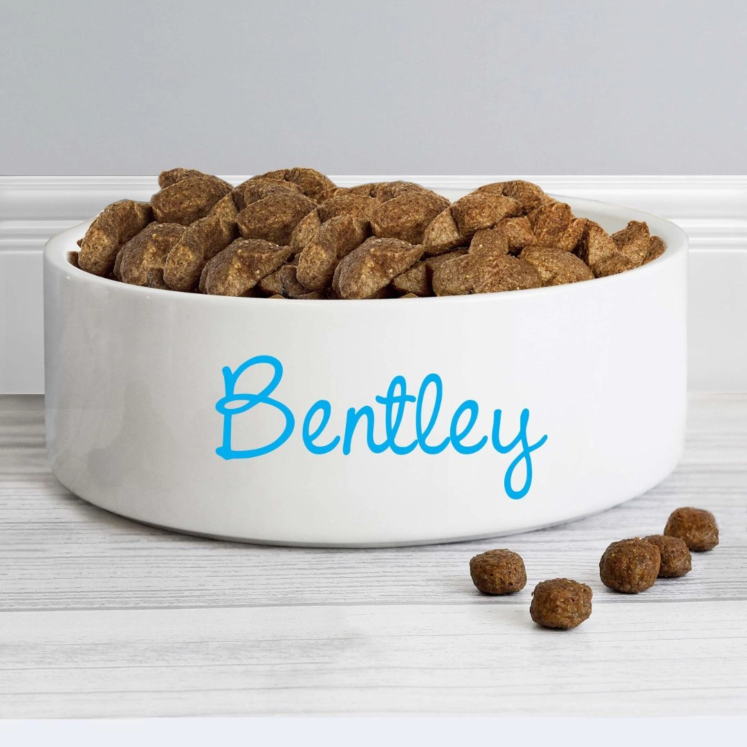 Personalised Blue Name 15cm Medium Ceramic Dog Bowl
