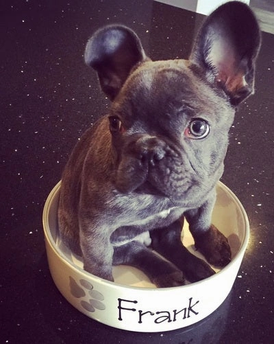 Personalised Ceramic Paw Print Dog Bowls