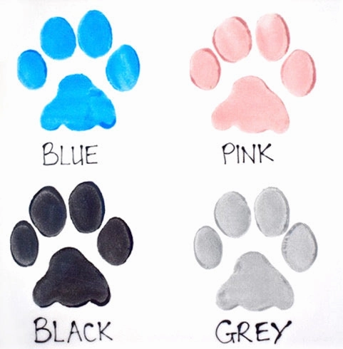 Personalised Ceramic Paw Print Dog Bowls