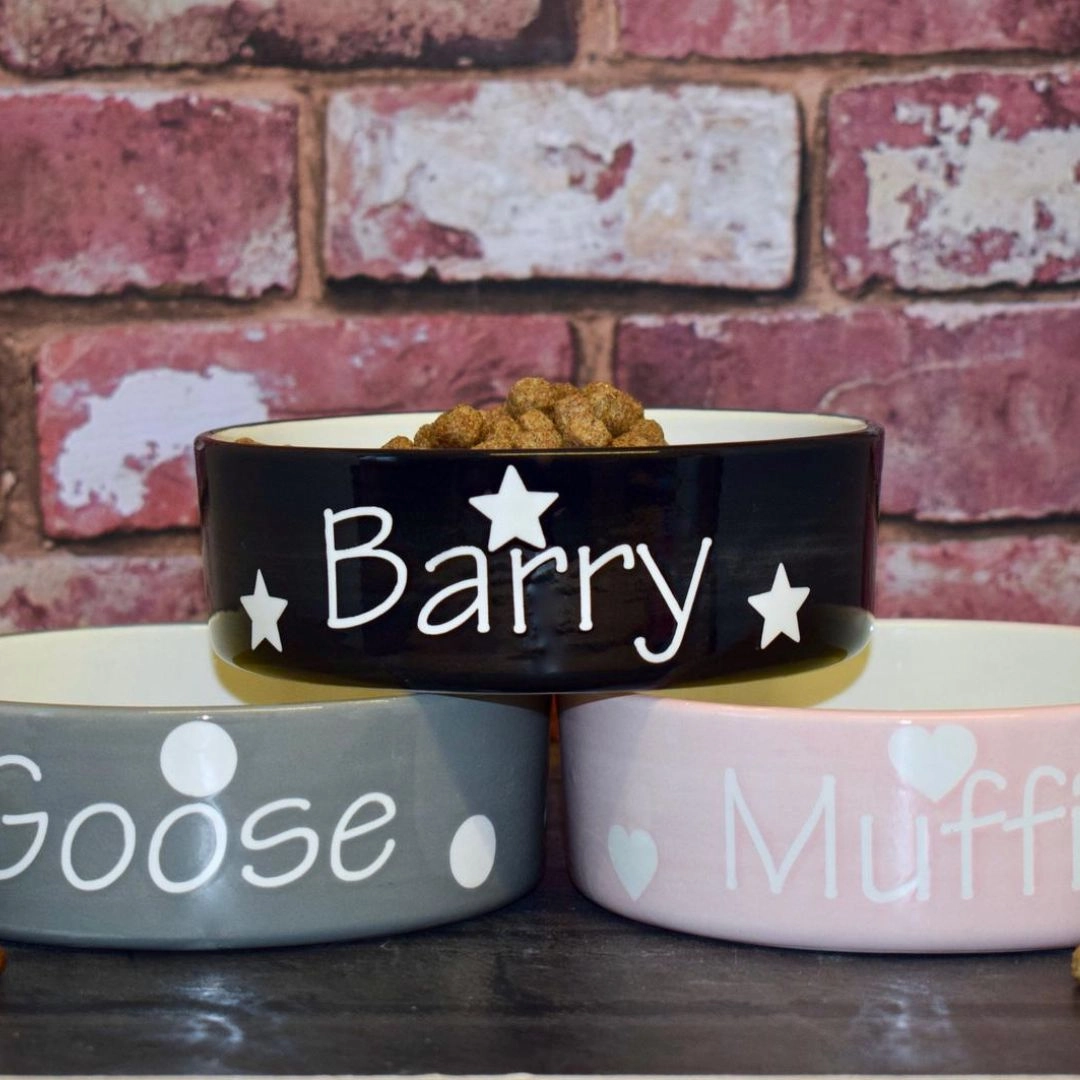 Personalised Ceramic Polka Dots Dog Bowls