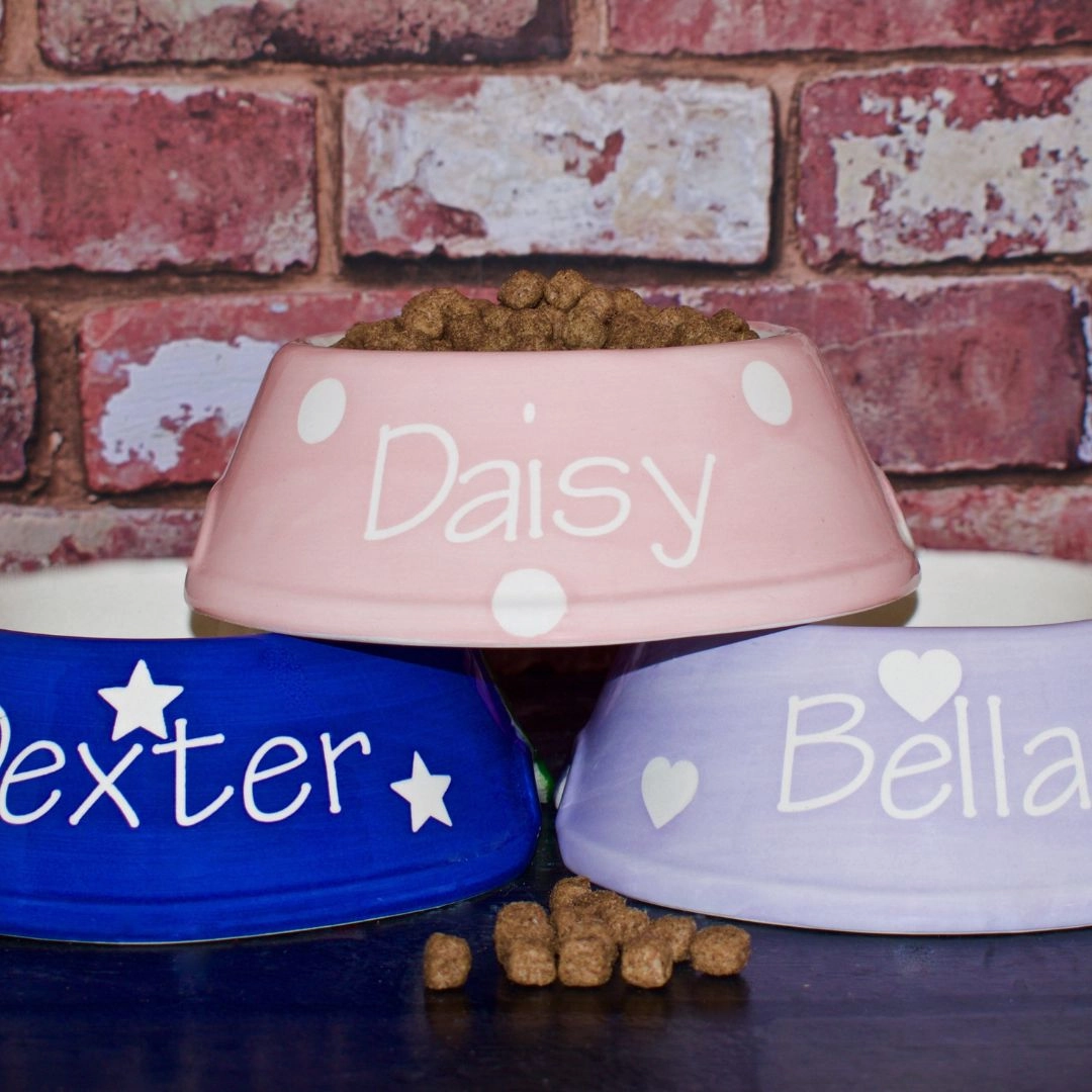 Personalised Ceramic Slanted Polka Dots Dog Bowls