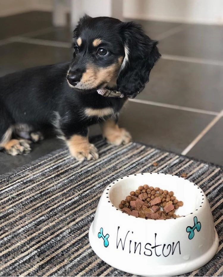 Personalised Ceramic Slanted Whimsical Dog Bowls