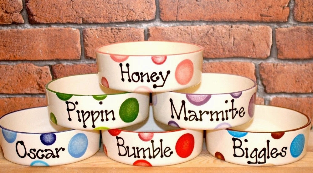 Personalised Ceramic Spotty Dog Bowls