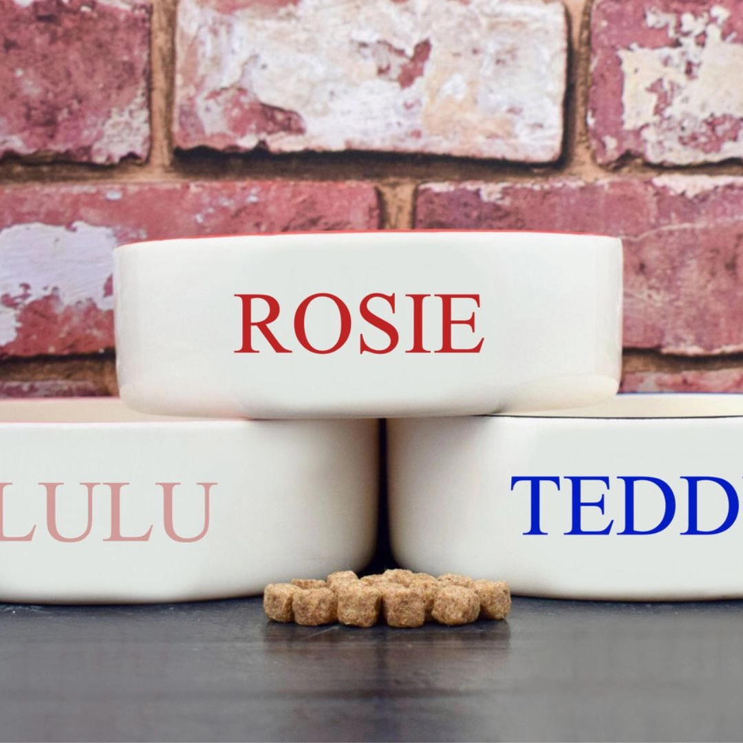 Personalised Classic Font Dog Bowls
