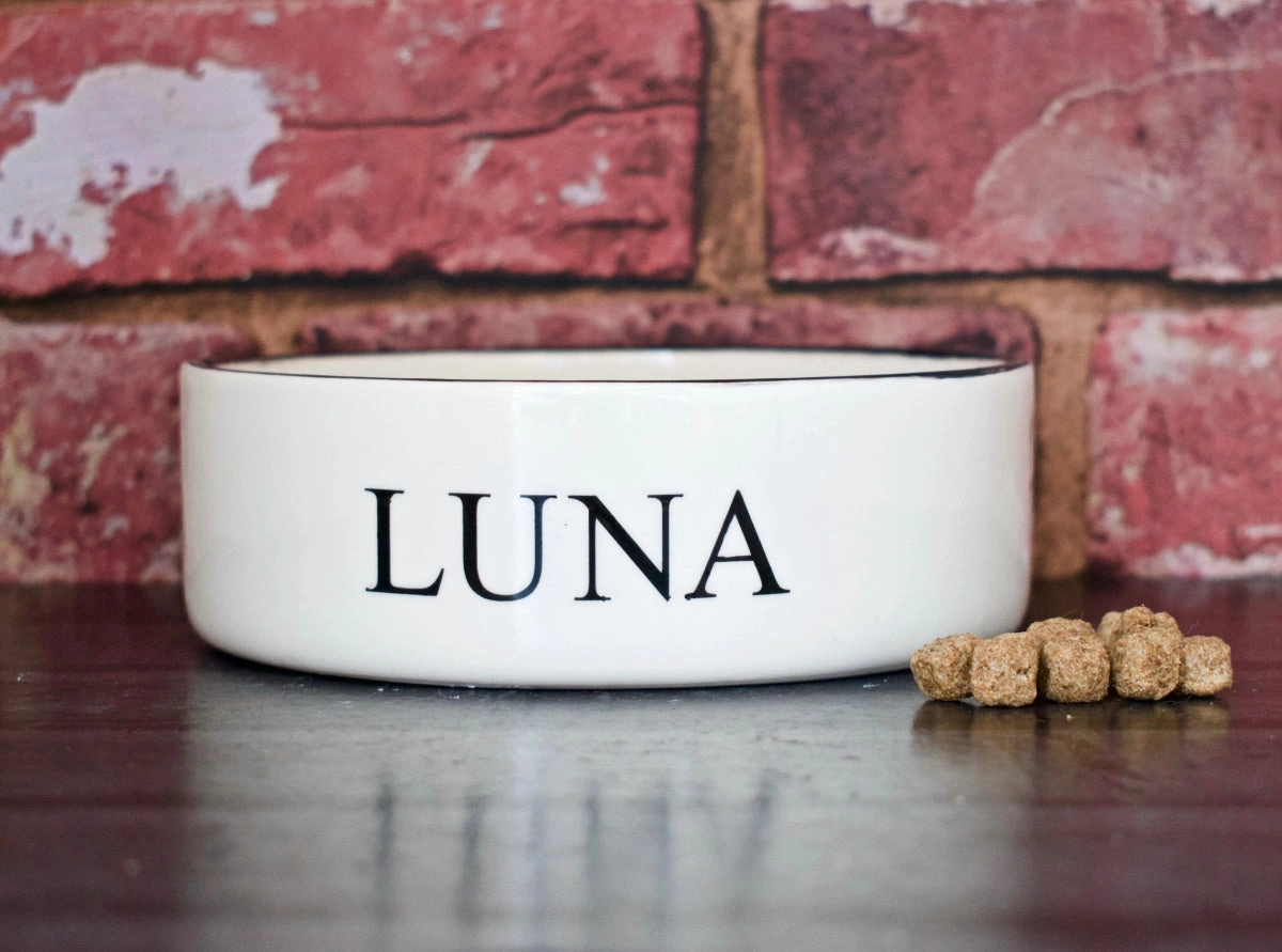 Personalised Classic Font Dog Bowls