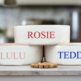 Personalised Classic Font Dog Bowls