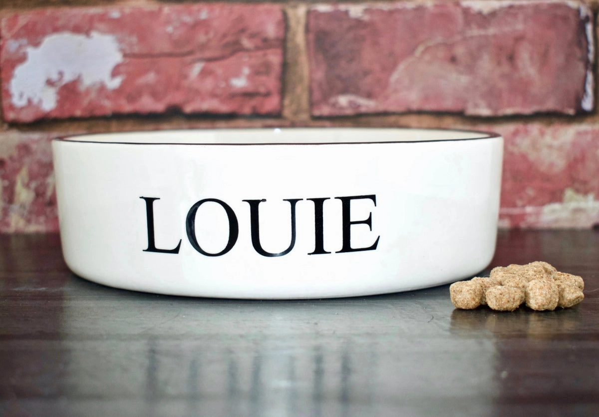 Personalised Classic Font Dog Bowls