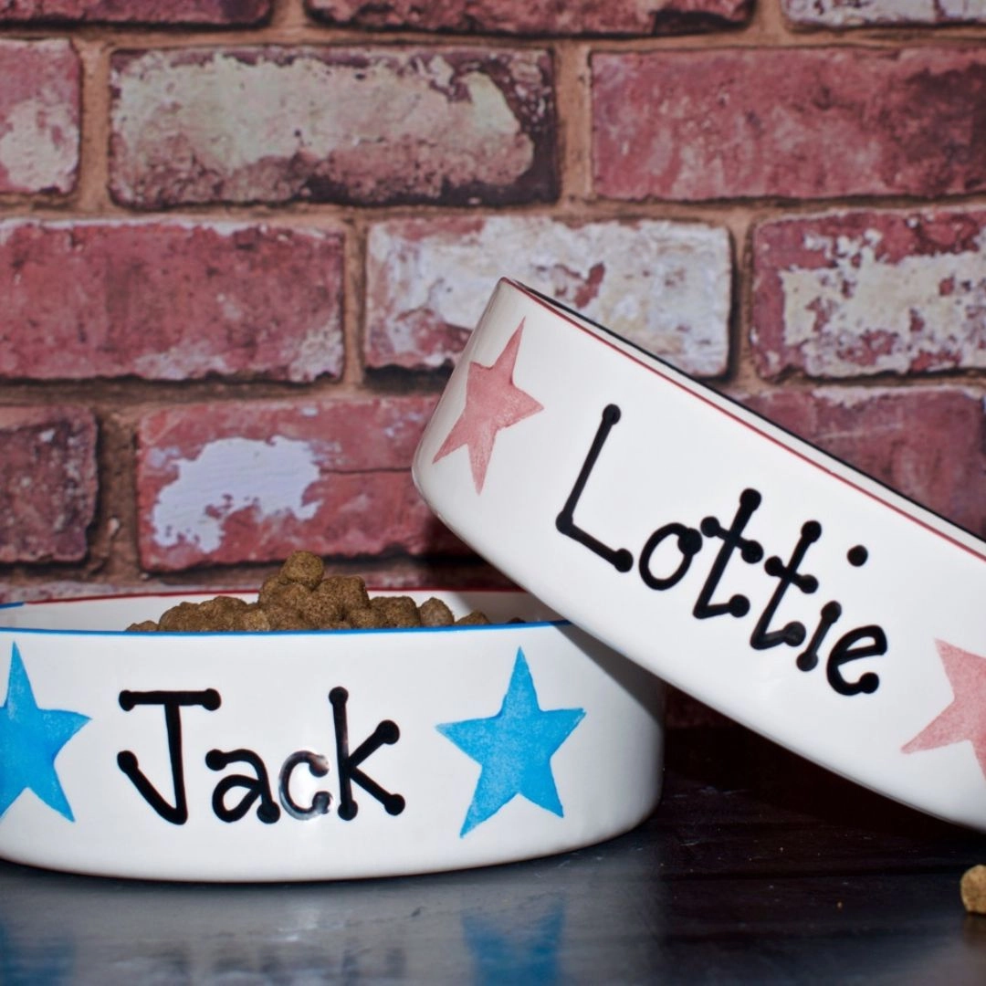 Personalised Dog Bowls In Star Design