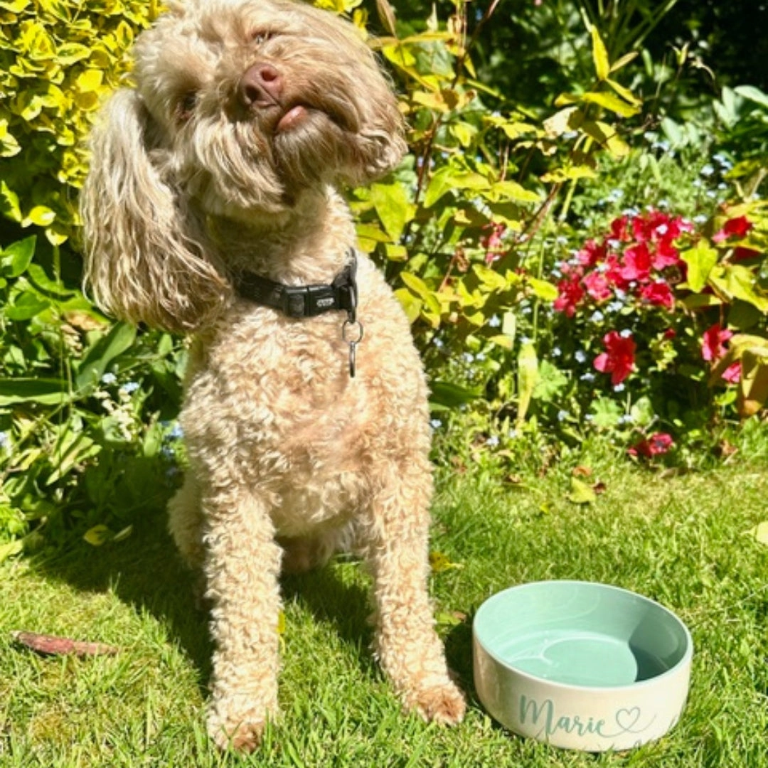 Personalised Heart Font Dog Bowls With Painted Inside