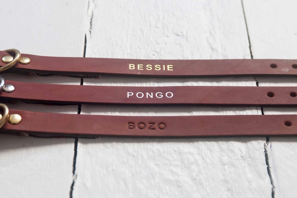 Personalised Named Leather Dog Collars