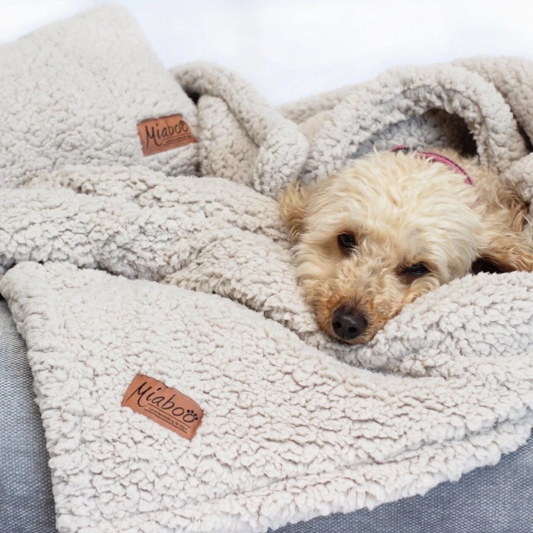 Personalised Opulence Scandi Grey Luxury Dog Bed Set