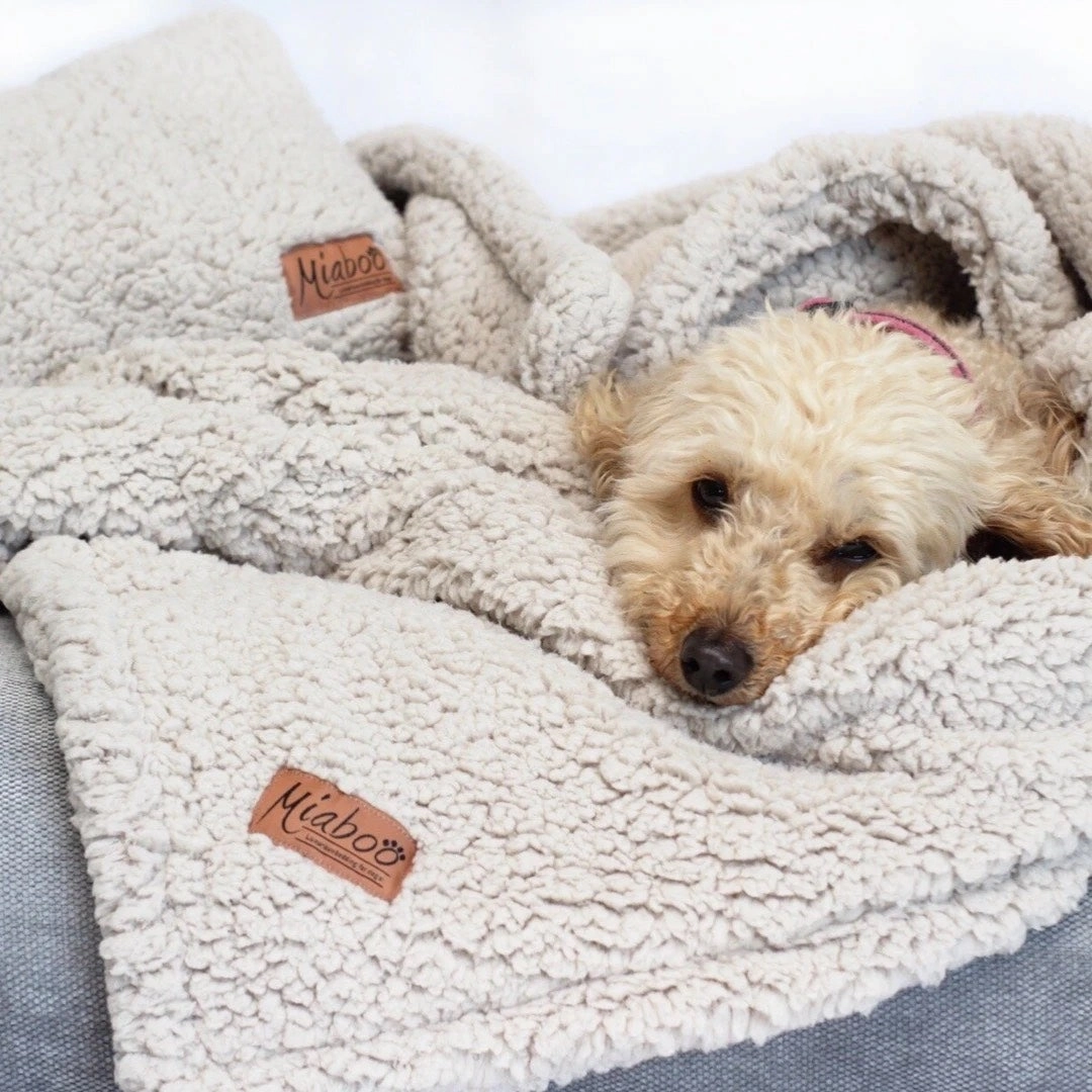 Personalised Opulence Scandi Grey Luxury Dog Bed Set