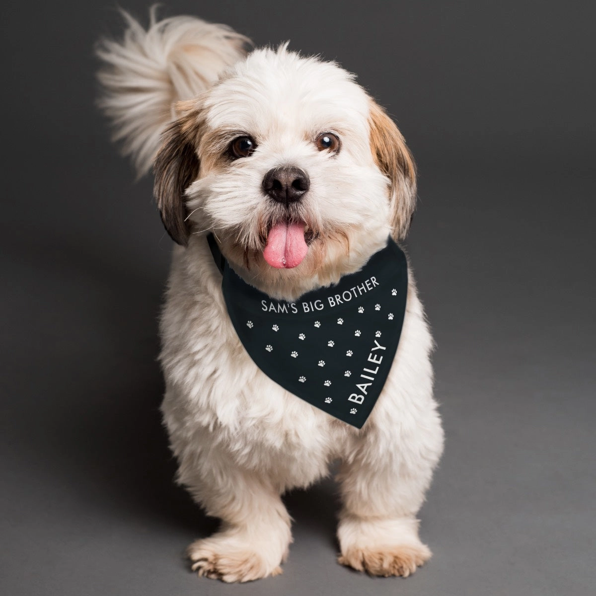 Personalised Paw Prints Dog Bandana