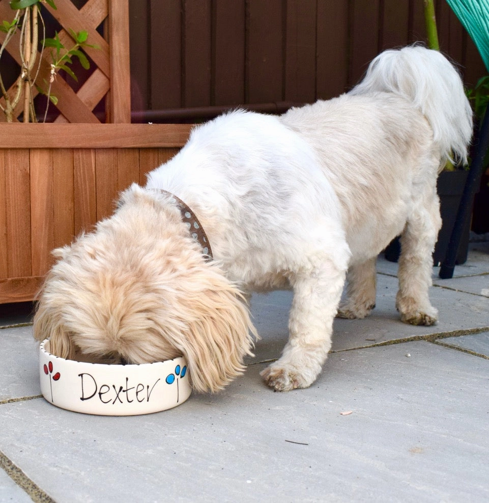 Personalised Petal Design Dog Bowls