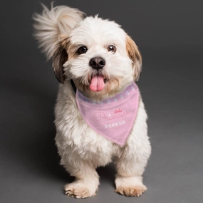 Personalised Pink Princess Dog Bandana