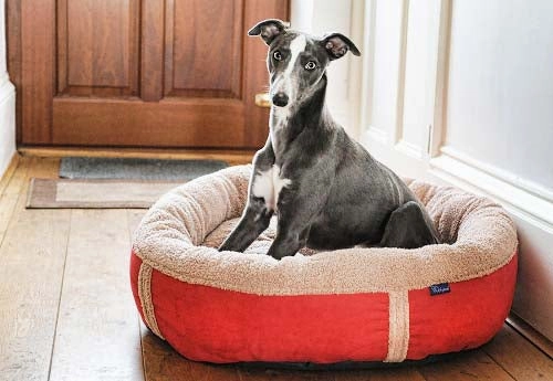 Personalised Red Fleece Donut Dog Bed