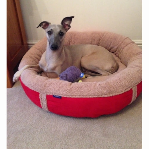 Personalised Red Fleece Donut Dog Bed